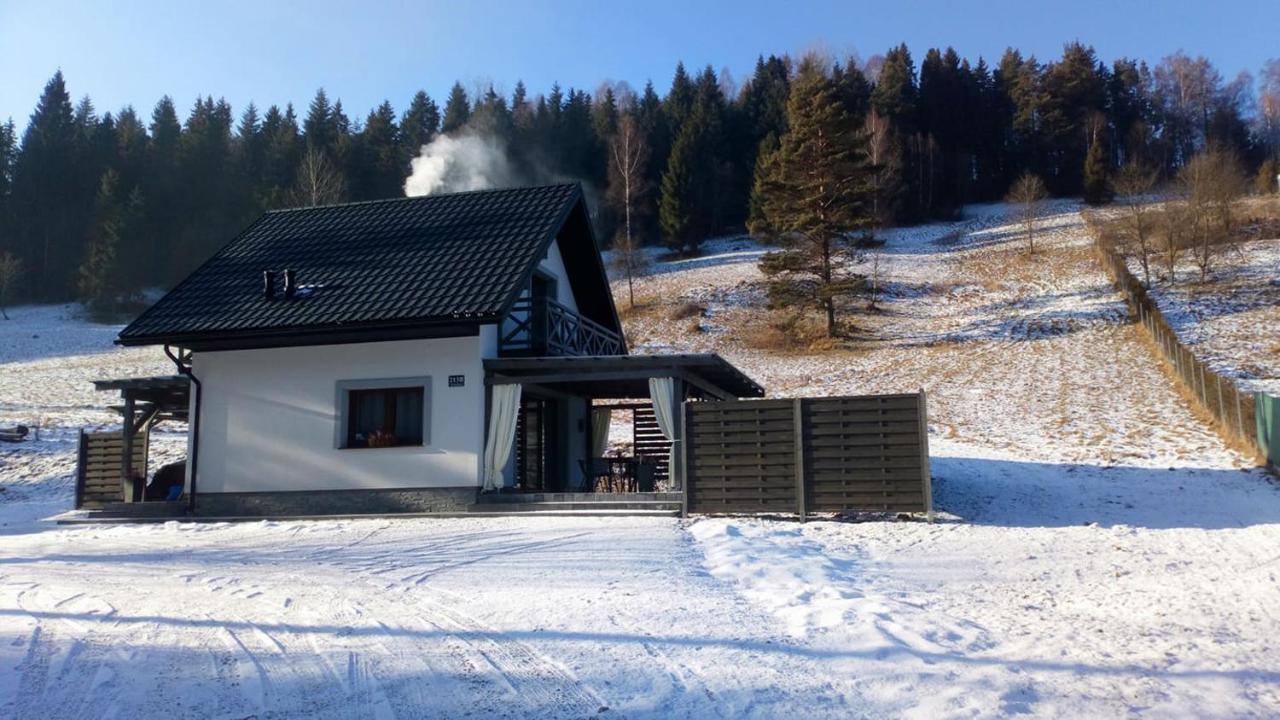 Lesny Zaulek Villa Muszyna Exterior photo